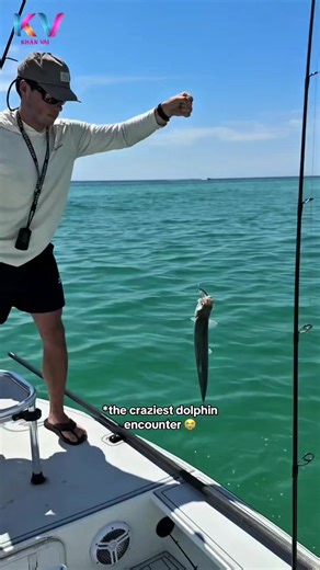 Dolphin Wins a Fish!