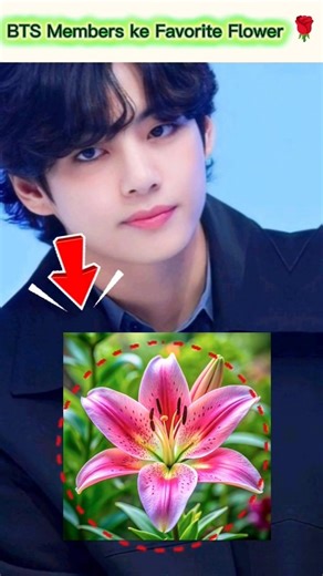 BTS Members ke Favorite Flower 🌹😱🤔