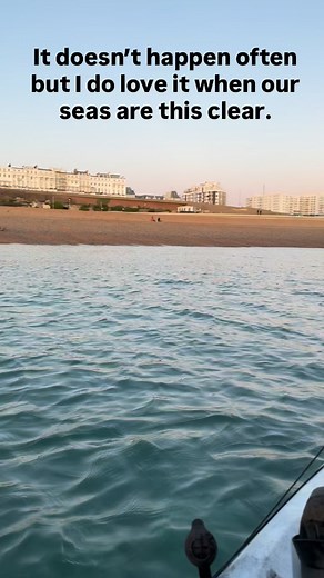 Can’t believe it’s this clear in November Brighton beach #brighton #fyp #fishing #sea #sealife | Fishing With Connor