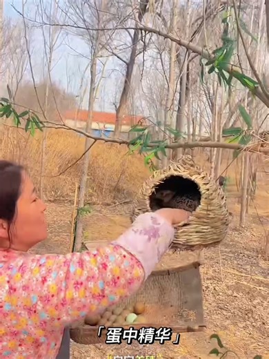 #pleasehelp #tiktokshop #viral #pleasehelp #foryou #viral #pleasehelp #tiktokshop #viral #peasehelp #tiktok #viral #pleasehelp #foryou #viral #forme