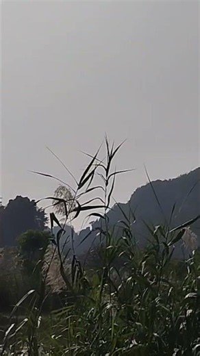 베트남 땀꼭 카르스트 지형, 자전거 투어, 깊숙하고 외진 곳, 연인들 숨바꼭질 하기 좋은 곳