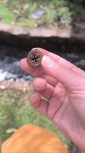 Runa Gebo (ᚷ) oznacza przede wszystkim dar, równowagę, partnerstwo i wzajemną wymianę, symbolizując harmonijne relacje, miłość, hojność i współpracę, a także umiejętność dawania i przyjmowania bezinteresownej pomocy, co prowadzi do jedności i spełnienia w życiu. Jest to runa miłości i partnerstwa, wspierająca związki, przyjaźnie i współpracę, a także pomagająca w uzdrawianiu relacji. #EL | Elena Eliminowicz