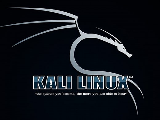 如何将Kali Linux安装为USB硬盘，以便在任何计算机上进行渗透测试和黑客攻击