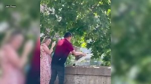 Tourist grabs and holds seagull in major city