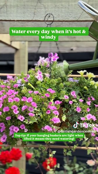 British Garden Centres on TikTok
