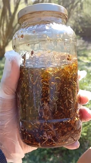 "Where Herbs Meet Harmony." #asmr #herbalinfusions