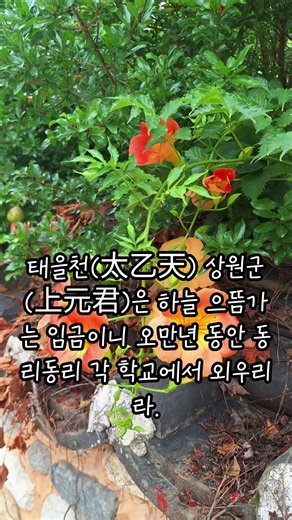 조화방망이/ 증산도도전 #상제님말씀 #증산도도전 #태을주 #태을천상원군 #오만년 #동리동리 #마음의소리로쓰는글 #좋은글