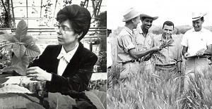 Modern-day agricultural heroes: Celebrating pioneers in crop ag | AGDAILY