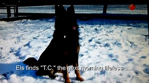 BRAVECTO, IS IT SAFE OR NOT ? RADAR-Broadcast- Bravecto Tick and Flea treatment (English subtitles)