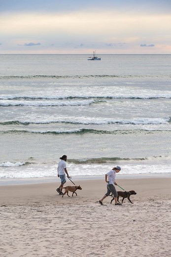 Oswald West State Park: Camping at Oswald West State Park, Hiking, Lodging, and Oswald State Park Trails