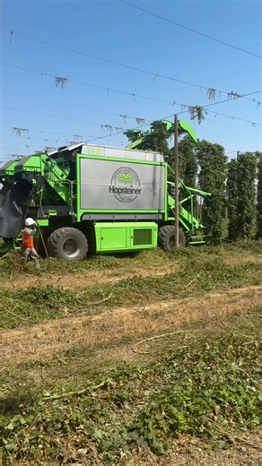 SPECIALIZED HARVEST: Cutting & Processing Hops On The Go! #farming #viral #agriculture