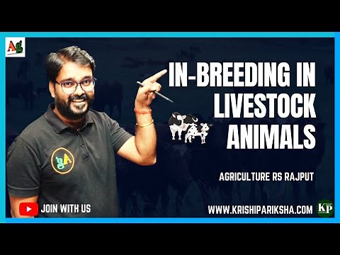 Inbreeding System in Livestock Animal | Close Breeding | Line Breeding | Breeding System