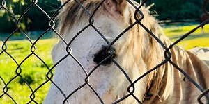 A New Way of Exploring New Places and Clearing Your Mind