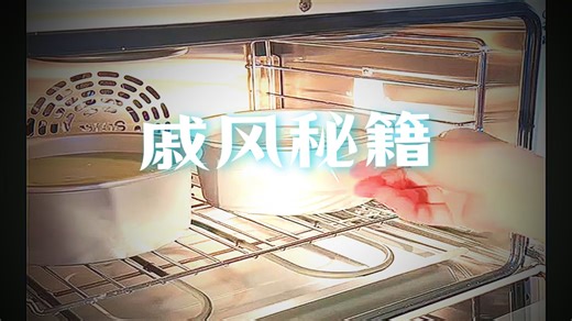 【家用烤箱推荐】新艾瑞斯E5烤箱40L大容量风炉平炉空气炸发酵多功能一体机私房家庭烘焙电烤箱 白色小稳烤箱40升