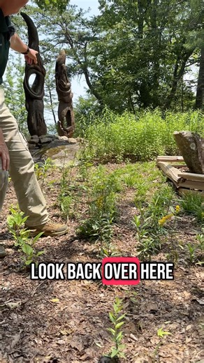 2.6K views · 50 reactions | Pollinator Garden pt.1 ⁠ New blooms, new buzz! ⁠ Follow Lori through our brand-new pollinator garden featuring:⁠ – Hissop (Agastache)⁠ – Native Coneflower⁠ – Goldenrod⁠ ⁠ Come see it for yourself—tickets at Seerockciy.com!  | Rock City | Facebook