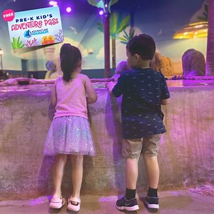 5.5K views · 15 reactions | With the Pre-K Pass, your child can make memories that will last a lifetime! ✨ Introduce your little one to an endless ocean of discovery!  From now until October 27th, 2-5-year-olds can get a Pre-K Kid's Pass (https://bit.ly/3yzmeDz) and dive into the Aquarium for 365 days of FREE exploration!  | Adventure Aquarium | Facebook