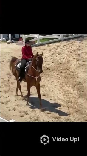 Throwback to one of my last shows with Chief❤️