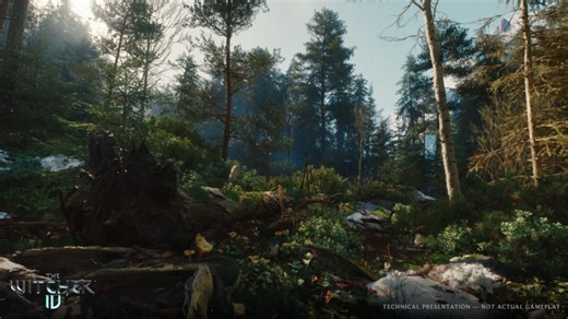 NVIDIA Runs The Witcher 4 Forest Demo at 4K 80FPS Using RTX Mega Geometry - OnMSFT