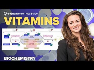 Biochemistry Chapter 12 | Vitamins: A, D, E, K and B | Step 1 Rapid Review