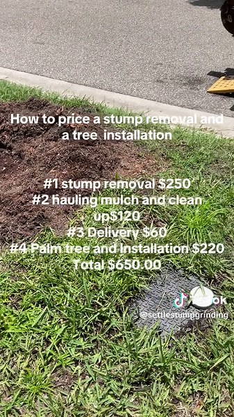 settles stump grinding & Tree on TikTok