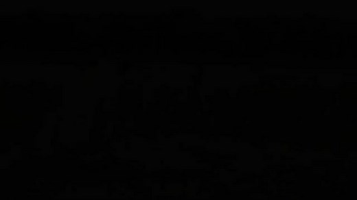 lion vs mangoose #LION #mangoose #fyp #foryou #foryoupage