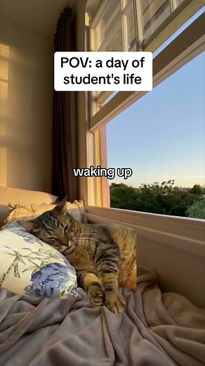 #aiwriter #student #studytips #university #collage #ipad#notes #goodnotes #essayhack #essay #studentmeme