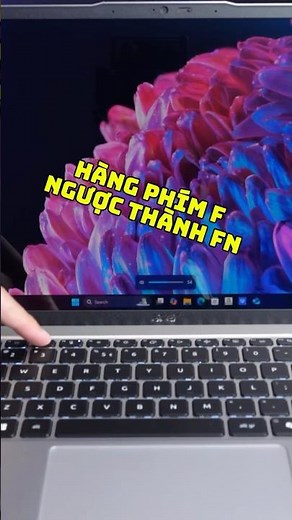 Super annoying error on laptop and how to fix the F key row being reversed with Fn extremely easy...