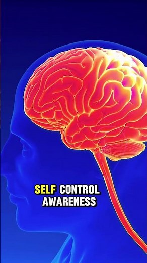 How Alcohol Affects Your Brain