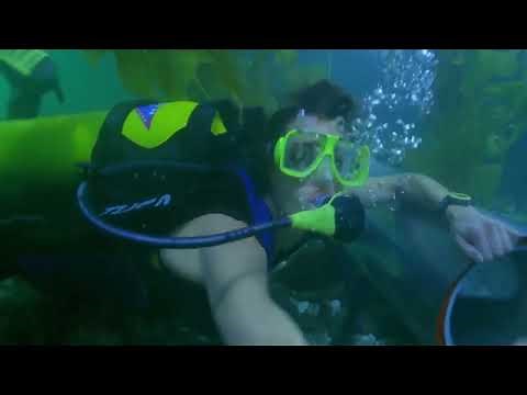 Hot Scuba Girls fight underwater and get out of air