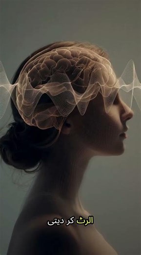 Why Certain Sounds Instantly Irritate You | Brain & Hearing Science Explained