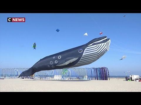 Berck-sur-Mer, la capitale mondiale du cerf-volant