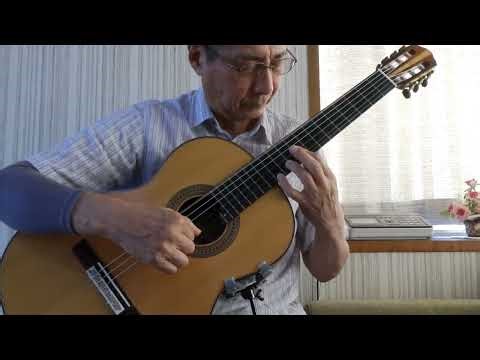 禁じられた遊び（Romance anónimo）solo guitar