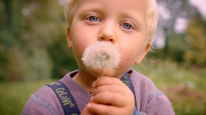 Raus aufs Land: Folge 4: Neue Heimat? (S01/E04)