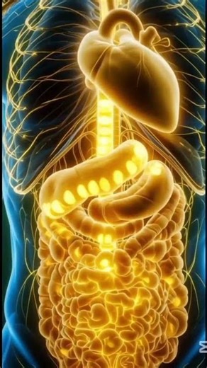 What Happens When You Eat Banana? | Amazing Benefits Explained in 3D