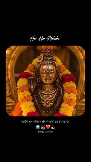 block contact on Reels