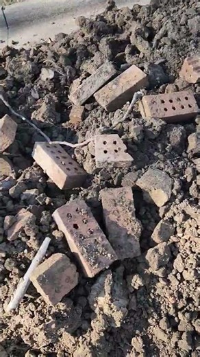 basement waterproofing rock hard clay soil + underground tree roots + bricks St Clair Shores