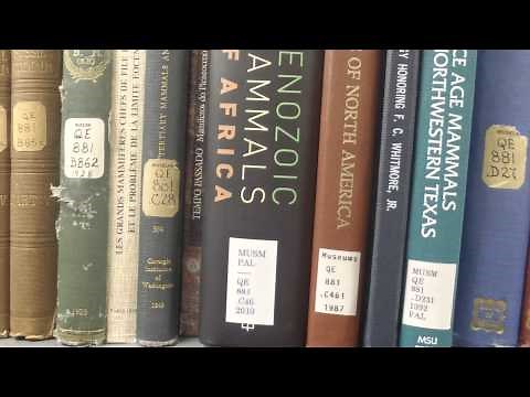 Call Numbers: Decoding and Using Them