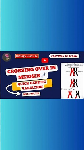 Crossing Over in Meiosis 🧬 | Quick Genetic Variation | Bio_Science Guide | #Shorts