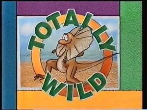 534K views · 5.4K reactions | Someone did a rave remix of the Totally Wild theme song and it's incredible. Via Coach Bombay | The Loop | Facebook