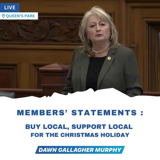"Buy Local, Support Local" — that’s my motto this holiday season. 🎄✨This morning in the Legislature, I had the opportunity to highlight two wonderful examples of the incredible talent and… | Dawn Gallagher Murphy