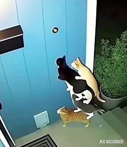 introducing the smartware vital brand...