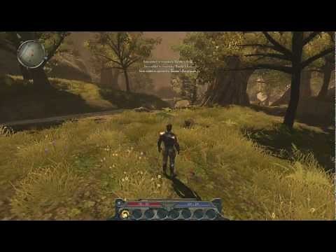 Divinity II Developer's Cut