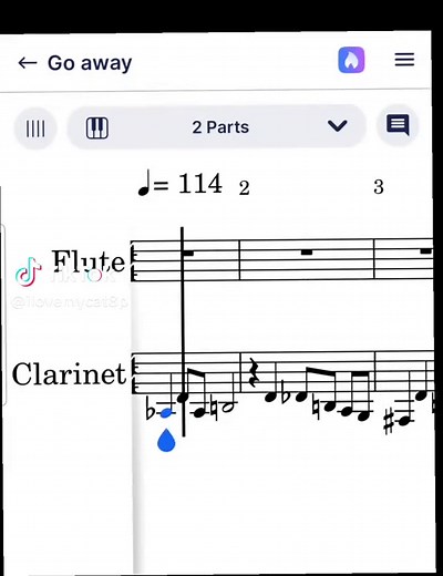 Clarinet vs Flute: What's the Difference?
