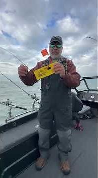 Lake Erie Techniques: Big walleye planer board set up.
