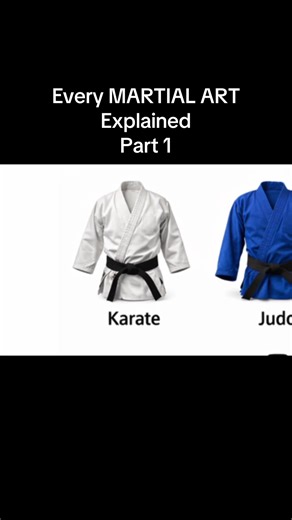 Every MARTIAL ARTS Explained Part 1 #sports #combat #mma #fighting #karate