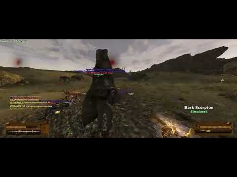 PVP in Fallout New Vegas Multiplayer