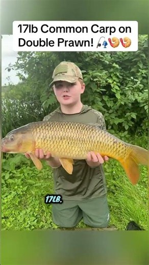 17lb Common Carp on Double Prawn! 🎣🍤🍤