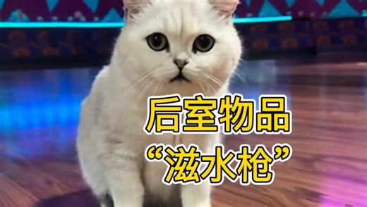 后室物品“滋水枪”