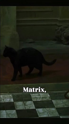 What is a déjà vu?
