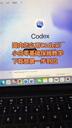 国内如何正常使用Codex？零基础小白下载登录完整教程。不用手机验证登录codex，国内购买升级chatgptplus充值支付宝一分钟搞定#codex #ai编程 #大陆怎么用codex #gpt